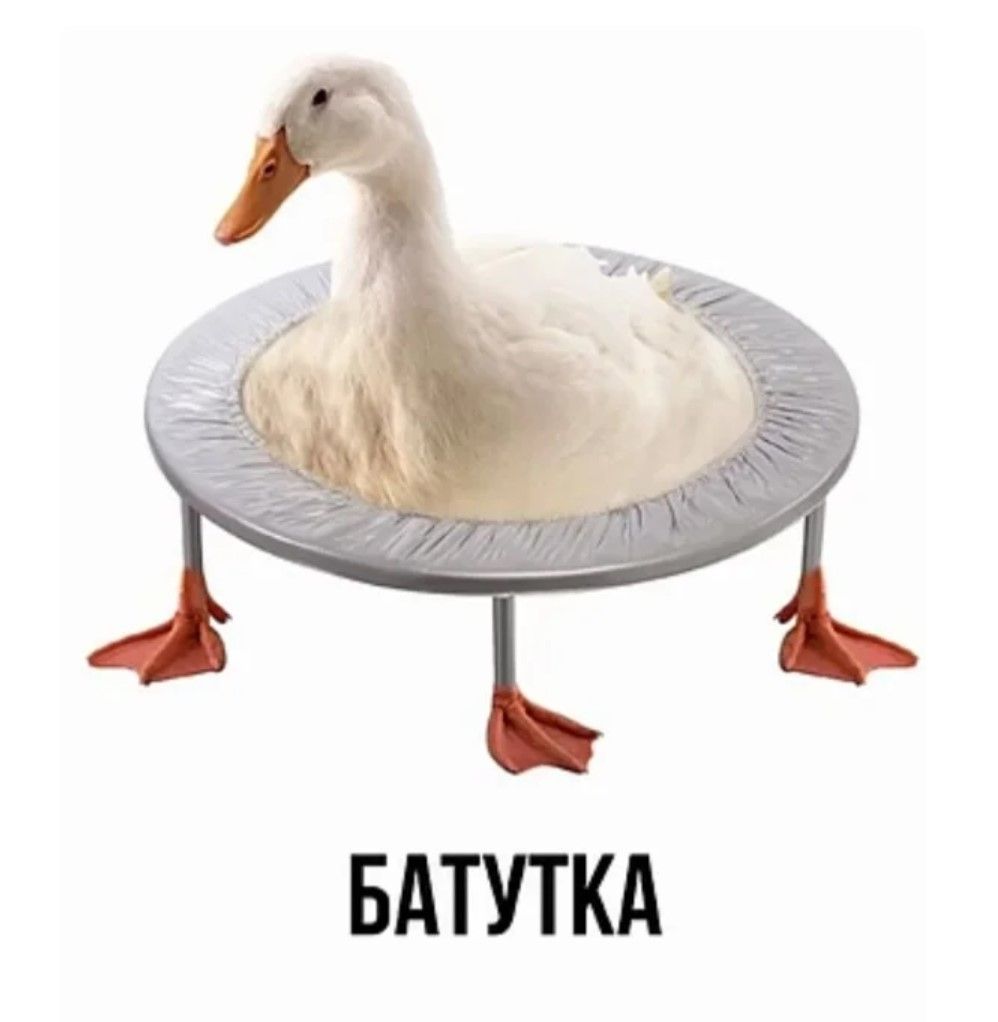 БАТУТКА