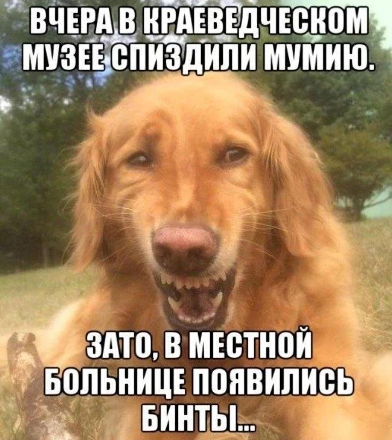 это в инет вопьницъпонвипись винты