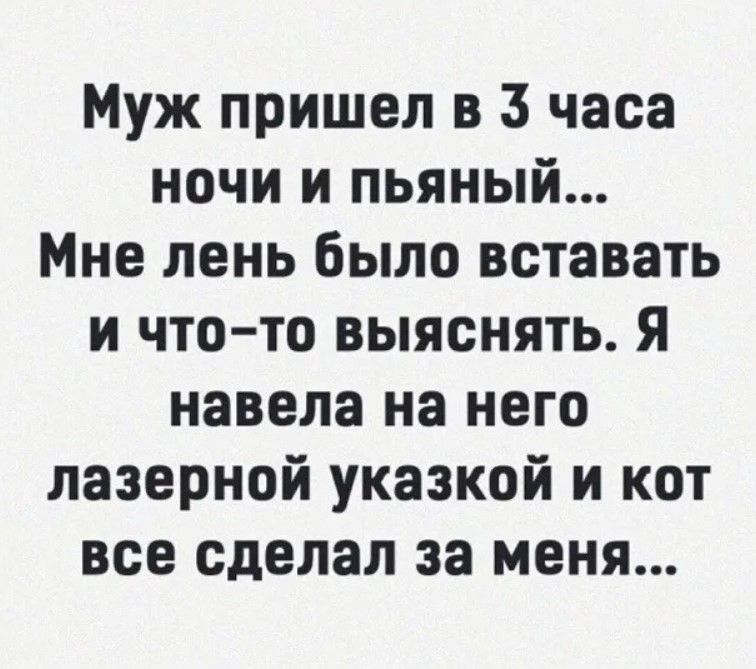 Муж пришел в 3 часа ночи и пьяный Мне лень было вставать и что то выяснять Я навела на него лазерной указкой и кот все сделал за меня