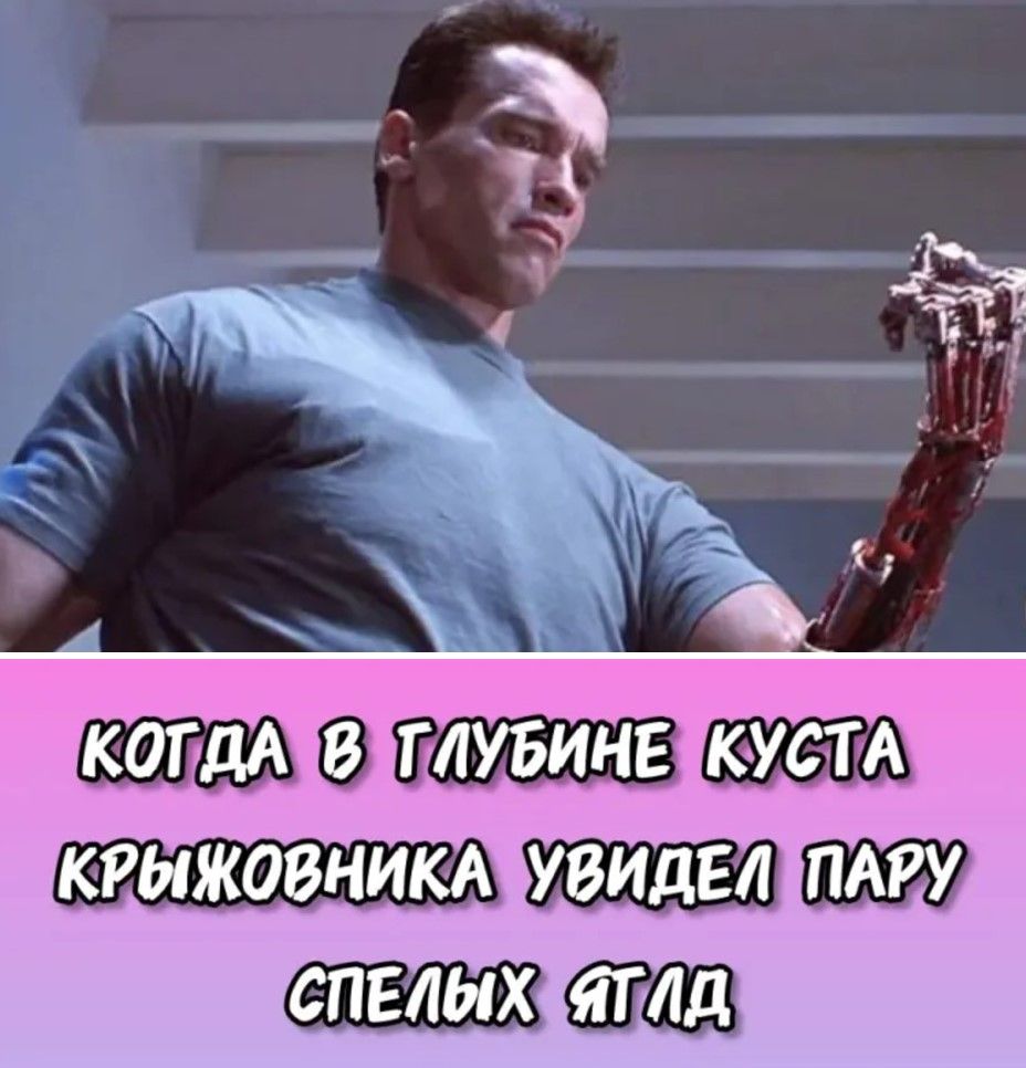 9 КРЫЖОВНИКА