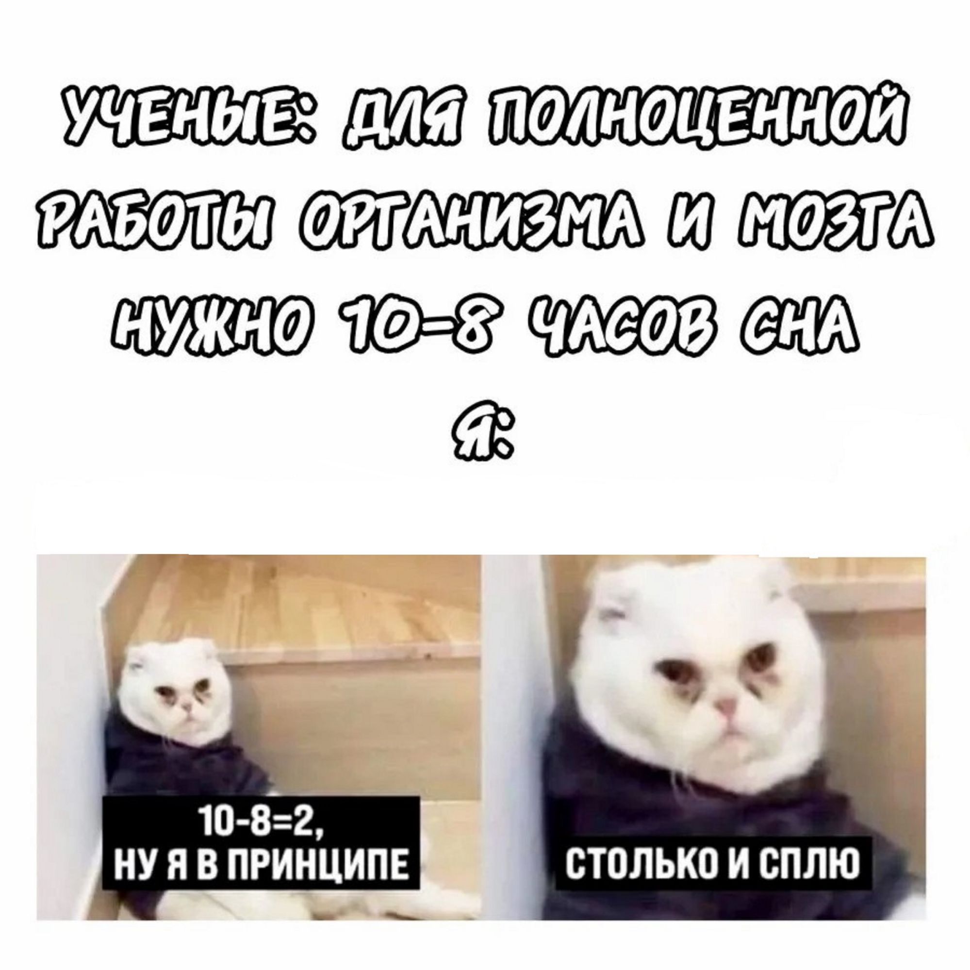 полноценной РАБОТЫ оггАнизмд мозг нужно чмок тп в2 НУ и В ПРИНЦИПЕ СТОЛЬКО И сплю