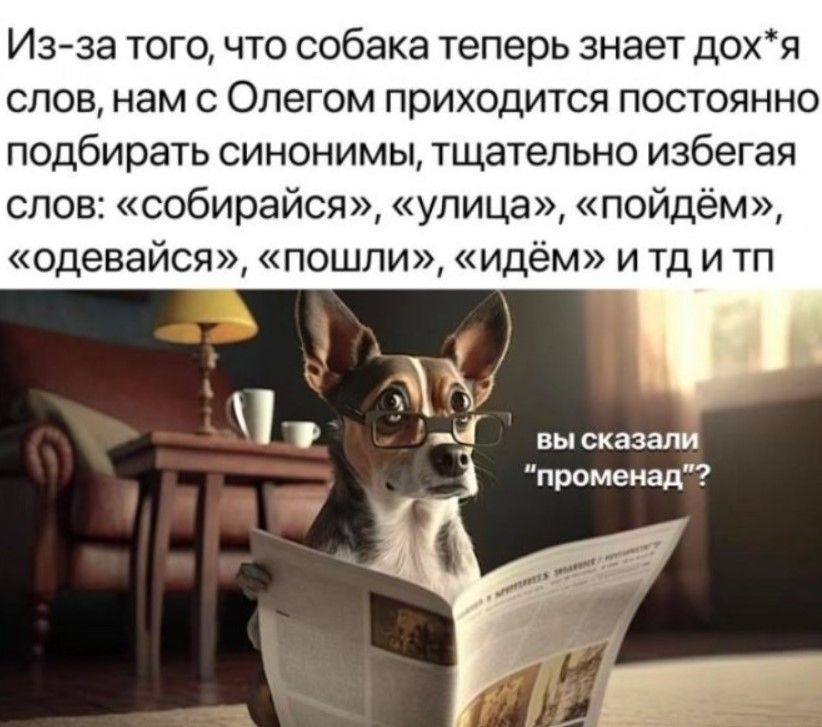 Из за того что собака теперь знает дохя слов нам с ФОлегом приходится постоянно подбирать синонимы тщательно избегая слов собирайся улица пойдём одевайся пошли идём и тд и тп 4 вы сказалй променад Т шаний