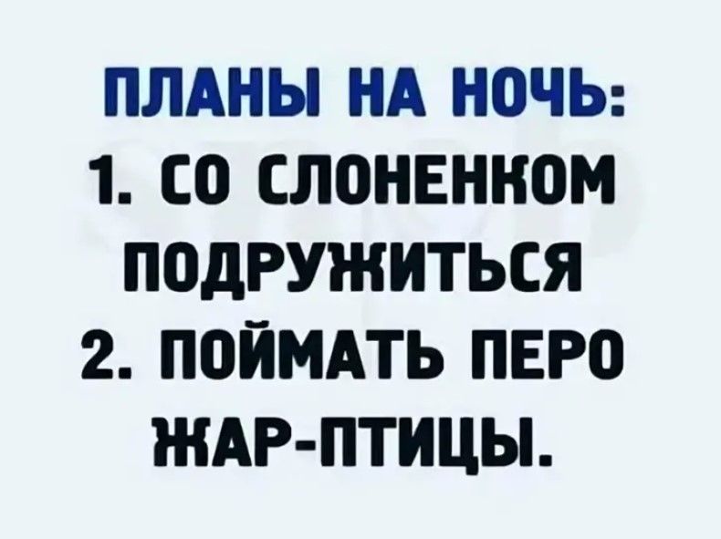 ПЛАНЫ НА НОЧЬ 1 СО СЛОНЕНКОМ ПОДРУЖИТЬСЯ 2 ПОЙМАТЬ ПЕРО ЖАР ПТИЦЫ