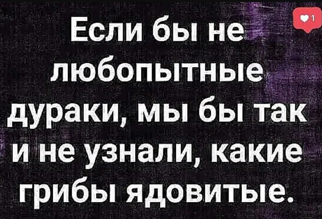 Если бы не любопытные дураки мы бы так и не узнали какие грибы ядовитые