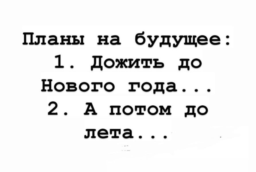 Планы на будущее 1 Дожить до Нового года 2 А потом до лета