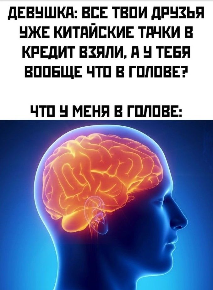 ДЕВУШКЯА ВСЕ ТВОИ ДРУХЬЯ ЧЖЕ КИТАИСКИЕ ТАЧКИ В КРЕДИТ ВЗЯЛИ А Ч ТЕБЯ ВООБЩЕ ЧТО В ГОЛОВЕ ЧТО У МЕНЯ В ГОЛОВЕ