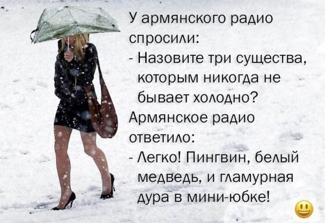 У армянского радио спросили Назовите три существа которым никогда не бывает холодно Армянское радио ответило Легко Пингвин белый медведь и гламурная дура в мини юбке