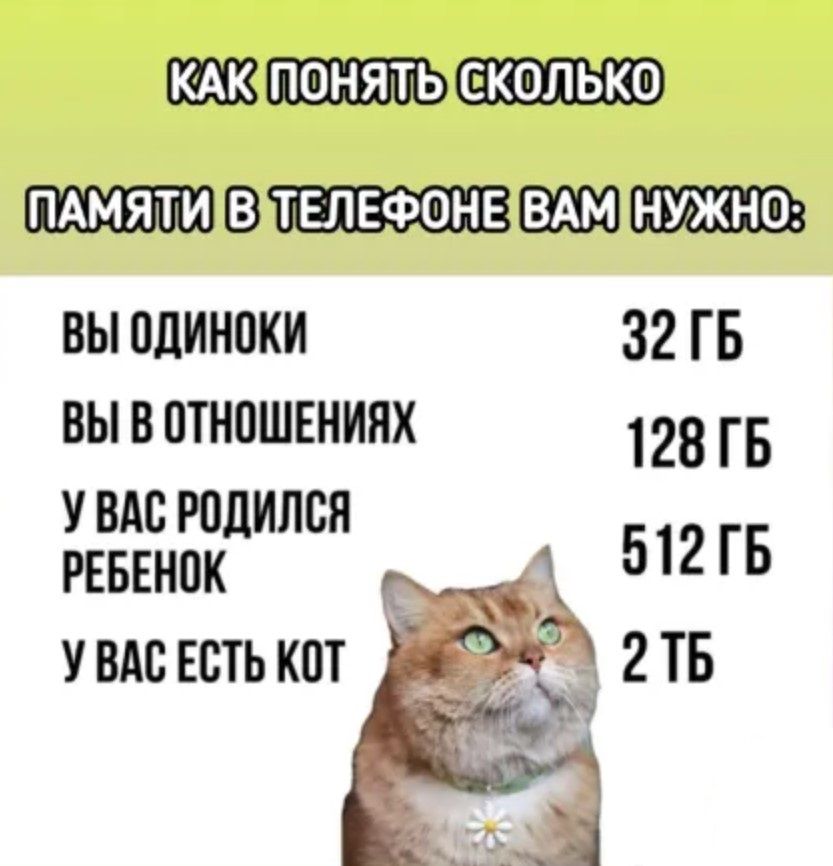 КАКПОНЯТЫСКОЛЬКО ПАМЯТИВЭТЕЛЕФОНЕВАМНУЖНО ВЫ ОДИНОКИ 32 ГБ ВЫ В ОТНОШЕНИЯХ 128 ГБ УВАС РОДИЛСЯ РЕБЕНОК 512ГБ УВАС ЕСТЬ КОТ 2ТБ