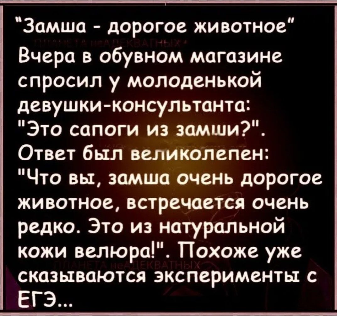 Замша дорогое животное Вчера в обувном магазине спросил у молоденькой девушки консультанта Это сапоги из замши Ответ был великолепен Что вы замша очень дорогое животное встречается очень редко Это из натуральной кожи велюра Похоже уже сказываются эксперименты с ЕГЭ