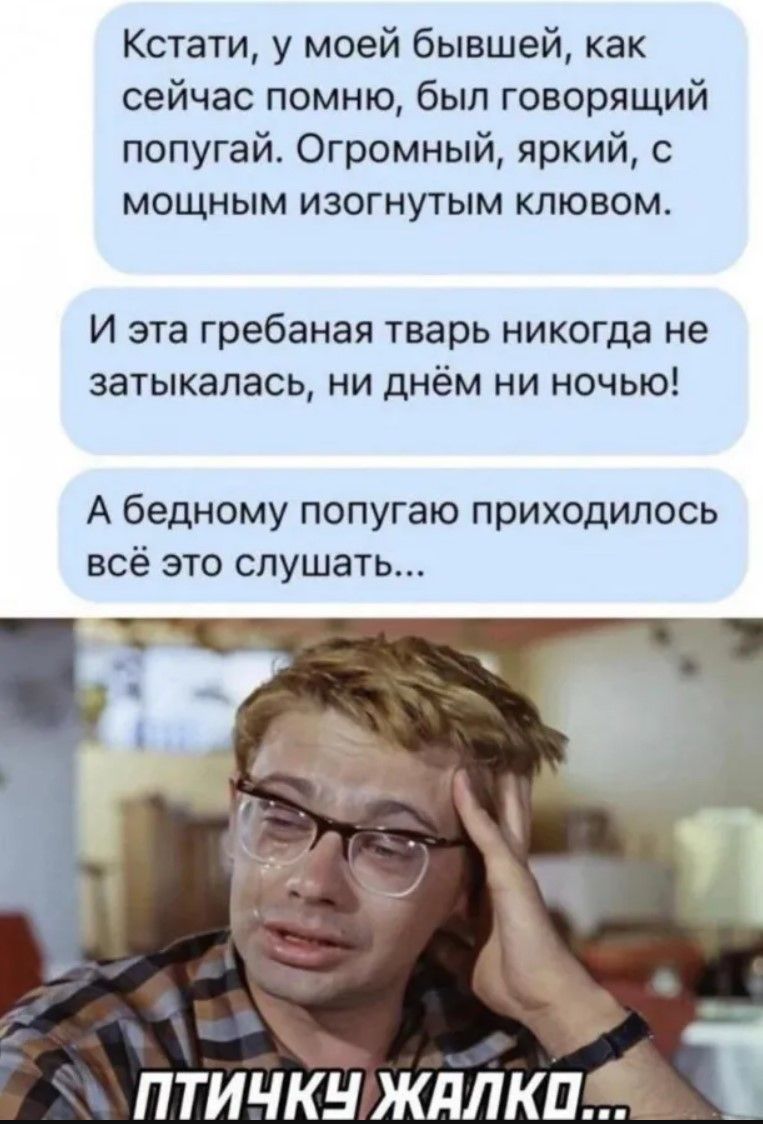Кстати, у моей бывшей, как сейчас помню, был говорящий попугай. Огромный, яркий, с мощным изогнутым клювом.

И эта гребаная тварь никогда не затыкалась, ни днём ни ночью!

А бедному попугаю приходилось всё это слушать...

Птичку жалко...