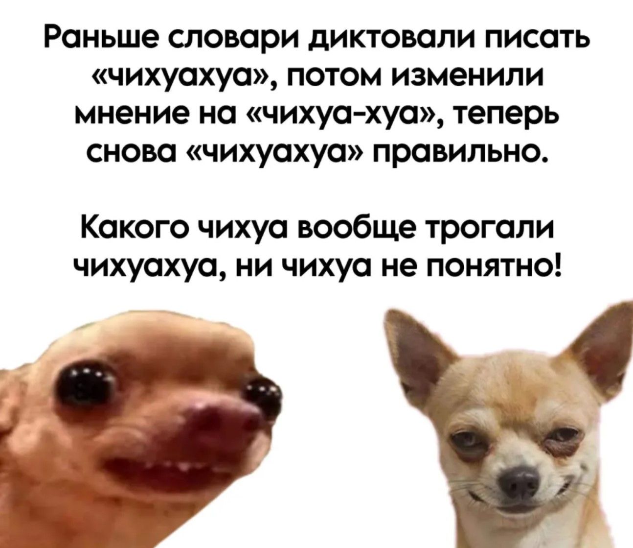 Раньше словари диктовали писать «чихуяху», потом изменили мнение на «чихуя-ха», теперь снова «чихуяха» правильно.
Какого чихуа вообще трогали чихуяха, ни чихуа не понятно!