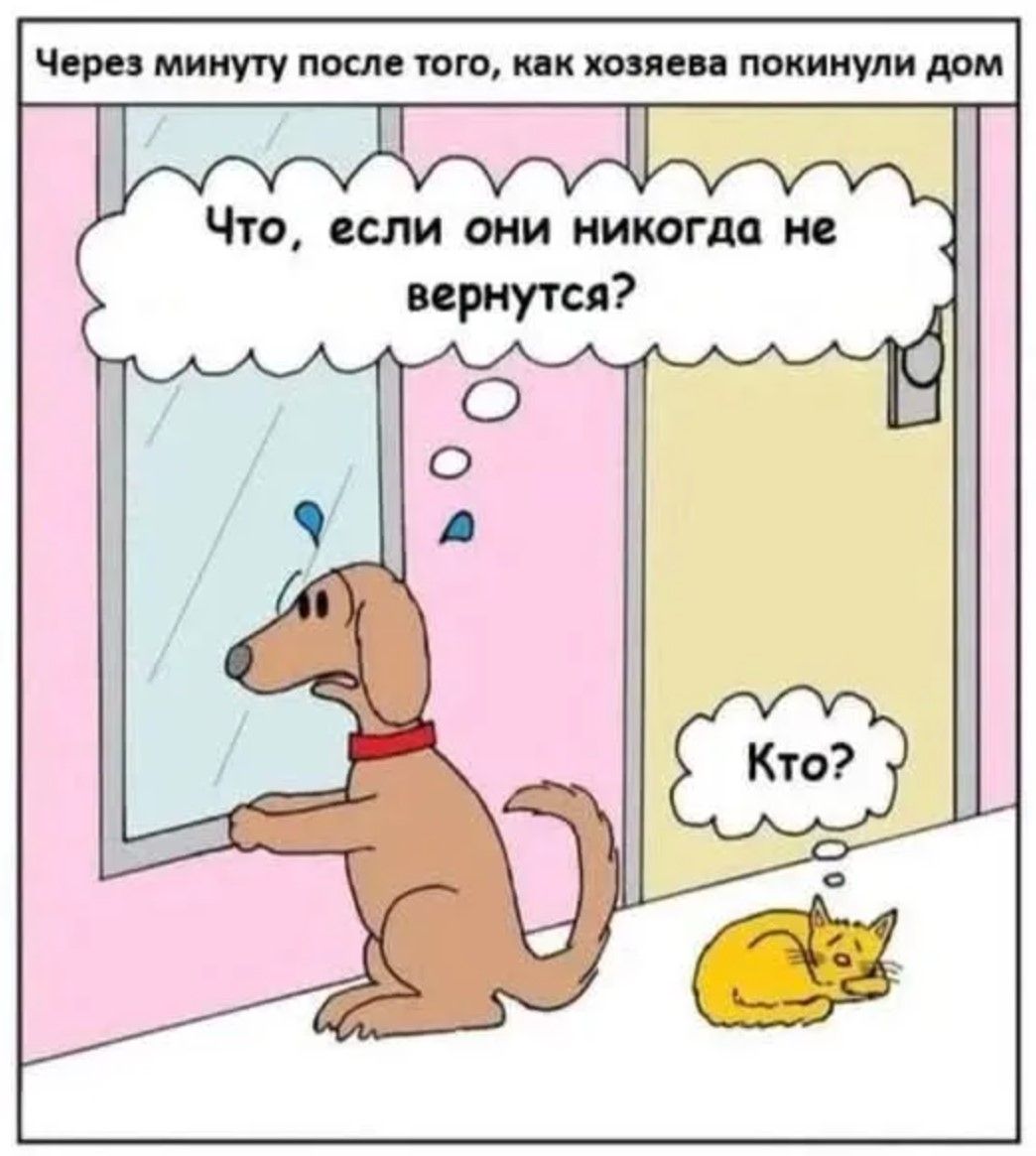 Через минуту после того, как хозяева покинули дом. Что, если они никогда не вернутся? Кто?