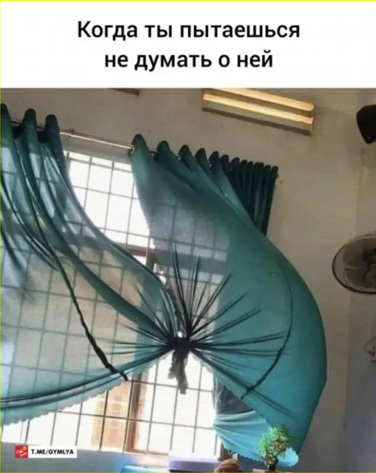 Когда ты пытаешься не думать о ней