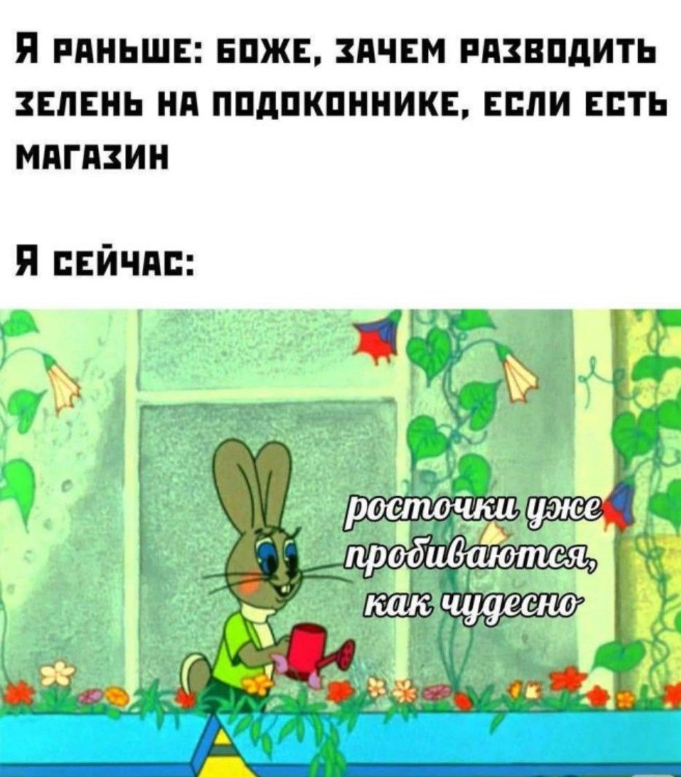 Я раньше: боже, зачем разводить зелень на подоконнике, если есть магазин Я сейчас: росточки уже пробиваются, как чудесно
