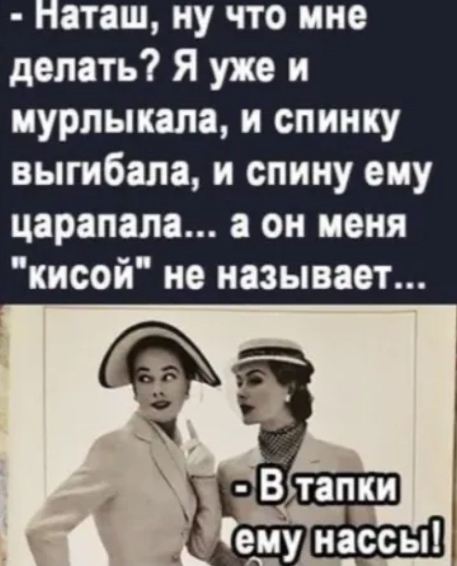- Наташ, ну что мне делать? Я уже и мурлыкала, и спинку выгибала, и спину ему царапала... а он меня 