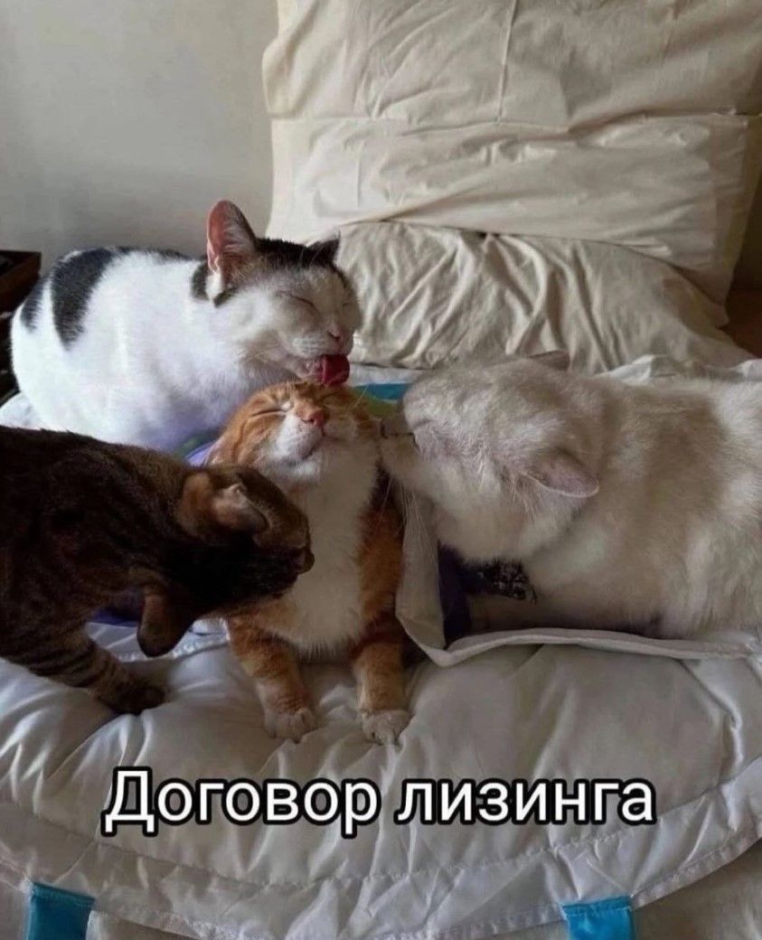 Договор лизинга