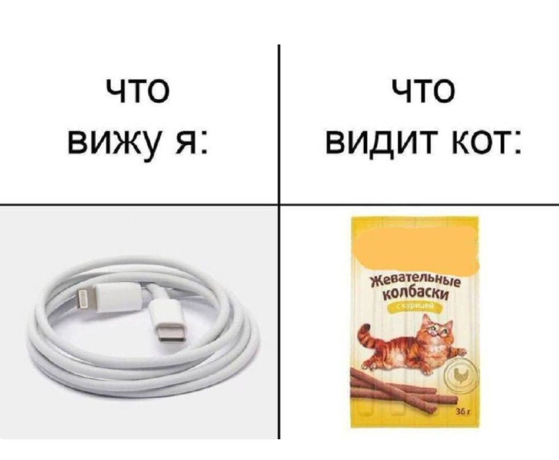 ЧТО ВИЖУ Я: 
ЧТО ВИДИТ КОТ:

[Изображение зарядного кабеля]
[Изображение упаковки жевательных колбасок для кошек]