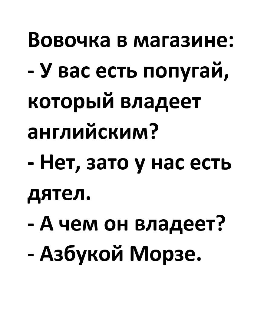 Вовочка в магазине:
- У вас есть попугай, который владеет английским?
- Нет, зато у нас есть дятел.
- А чем он владеет?
- Азбукой Морзе.