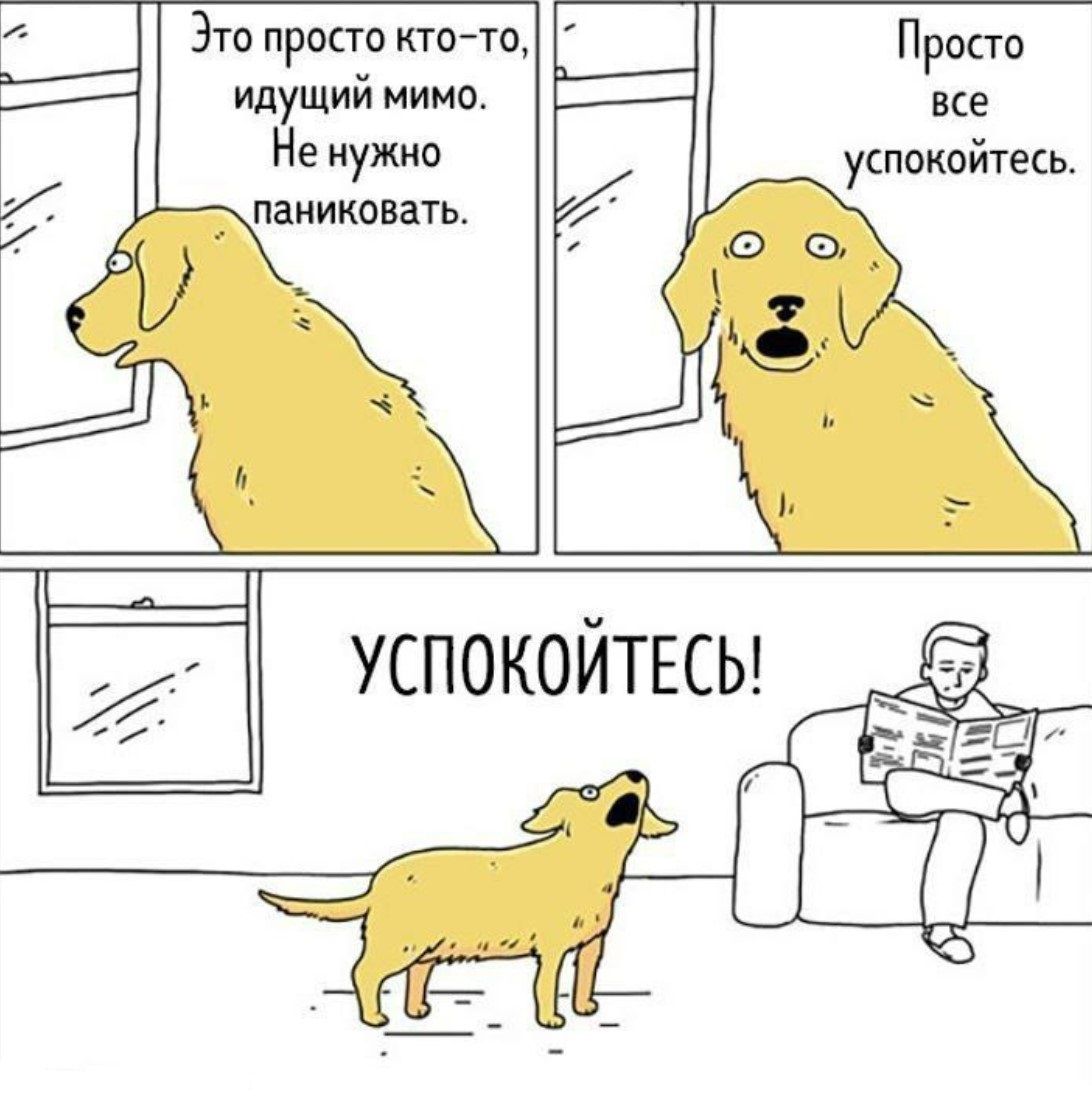 Это просто кто-то, идущий мимо. Не нужно паниковать.
Просто все успокойтесь.
УСПОКОЙТЕСЬ!