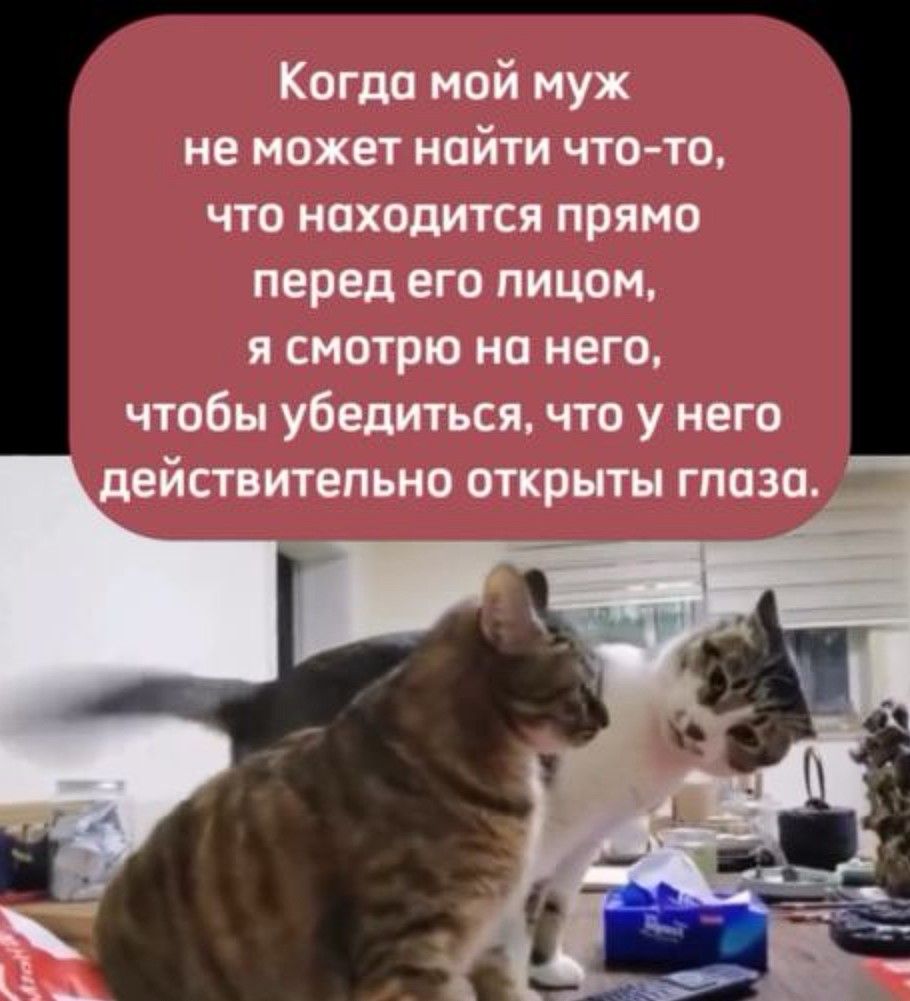 Когда мой муж не может найти что-то, что находится прямо перед его лицом, я смотрю на него, чтобы убедиться, что у него действительно открыты глаза.