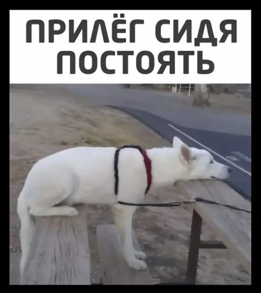 ПРИЛЁГ СИДЯ ПОСТОЯТЬ