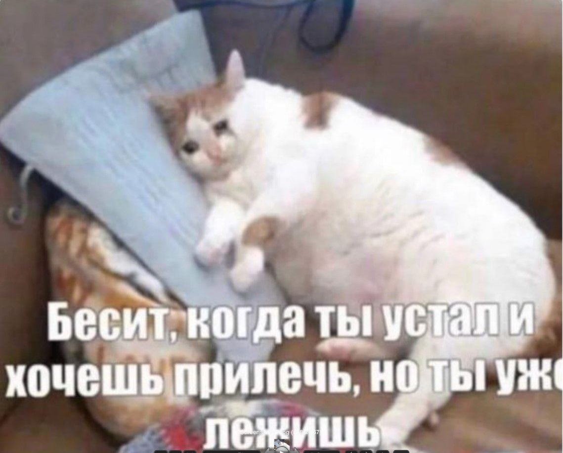 Бесит, когда ты устал и хочешь прилечь, но ты уже лечишь.