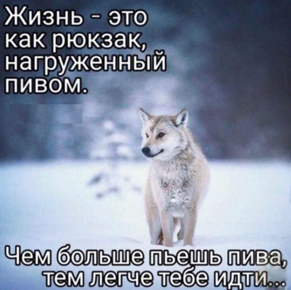 Жизнь - это как рюкзак, нагруженный пивом.
Чем больше пьешь пива, тем легче тебе идти...