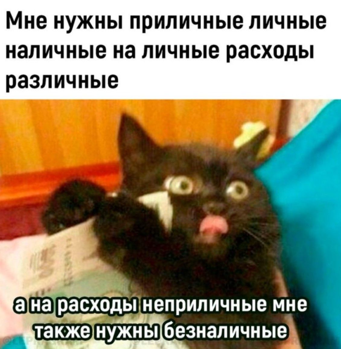 Мне нужны приличные личные наличные на личные расходы различные а на расходы неприличные мне также нужны безналичные