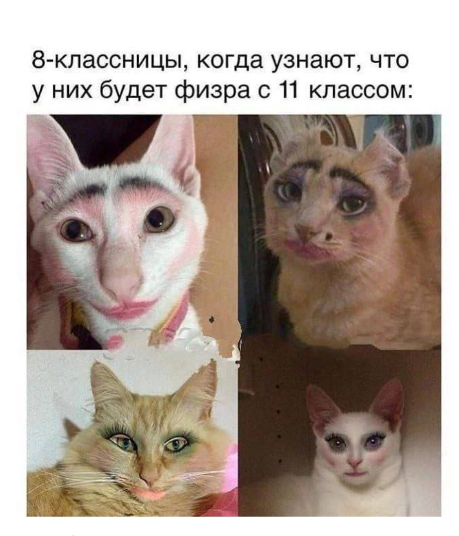 8-классницы, когда узнают, что у них будет физра с 11 классом: