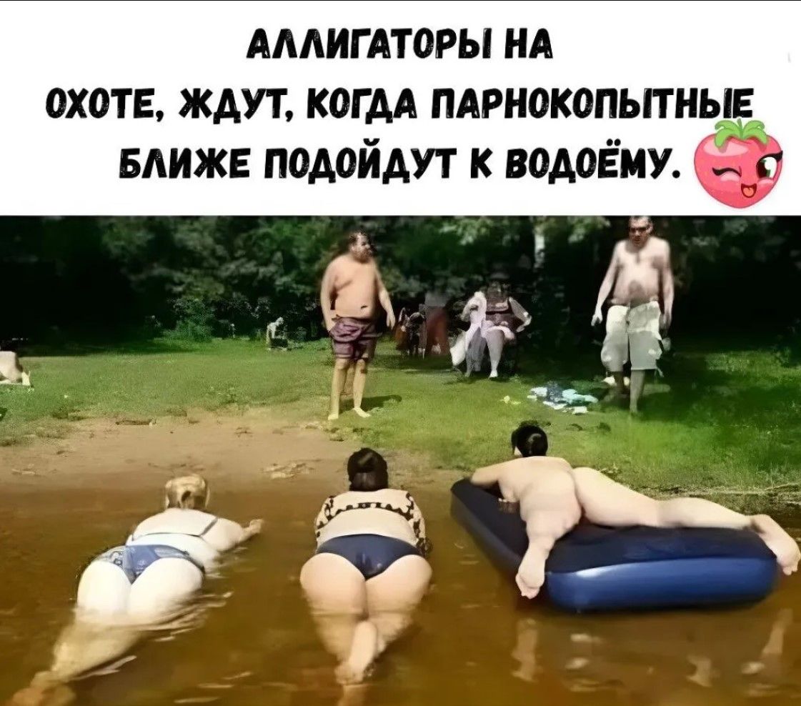 АЛЛИГАТОРЫ НА ОХОТЕ, ЖДУТ, КОГДА ПАРНОКОПЫТНЫЕ БЛИЖЕ ПОДОЙДУТ К ВОДОЁМУ.