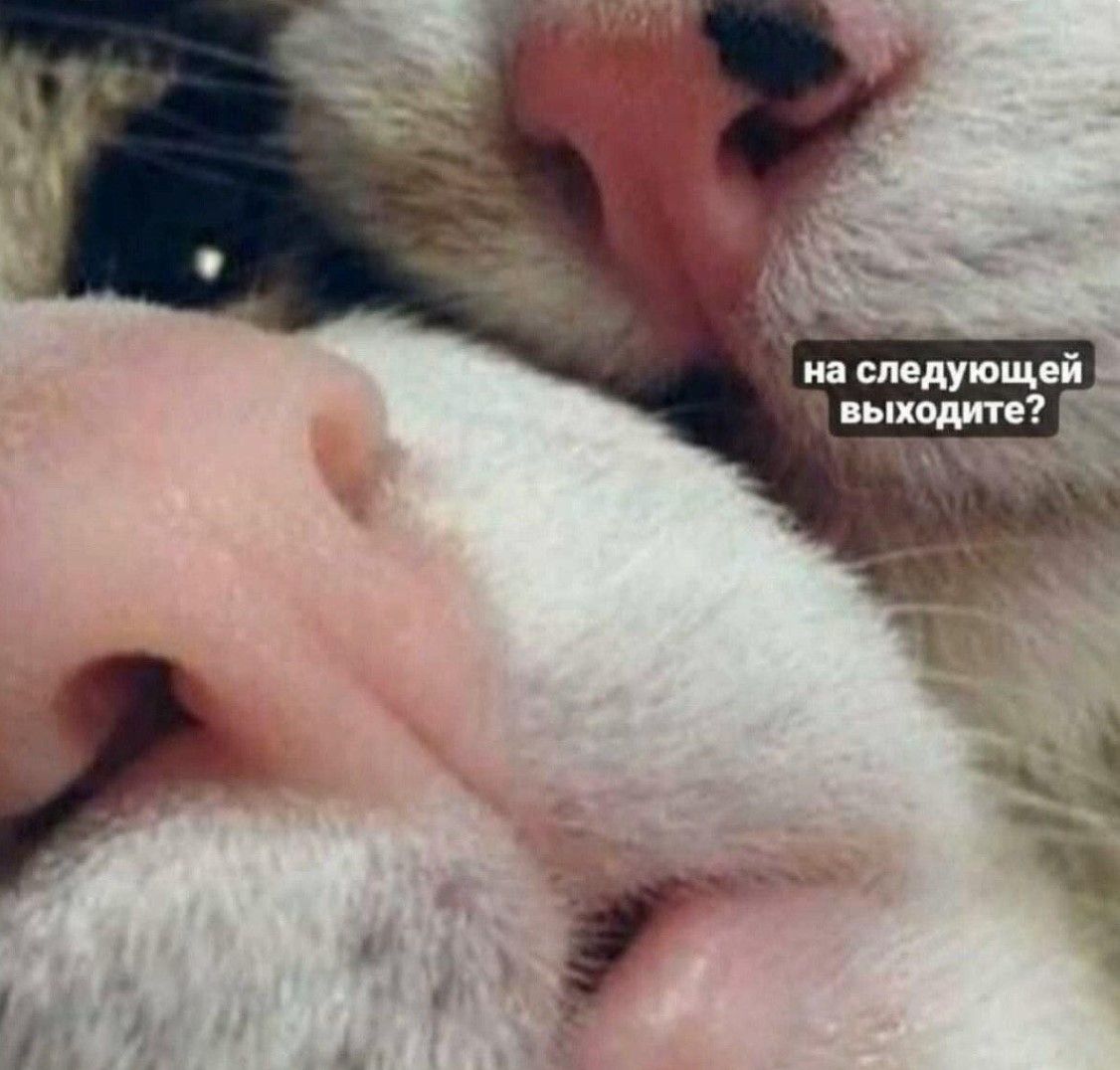на следующей выходите?
