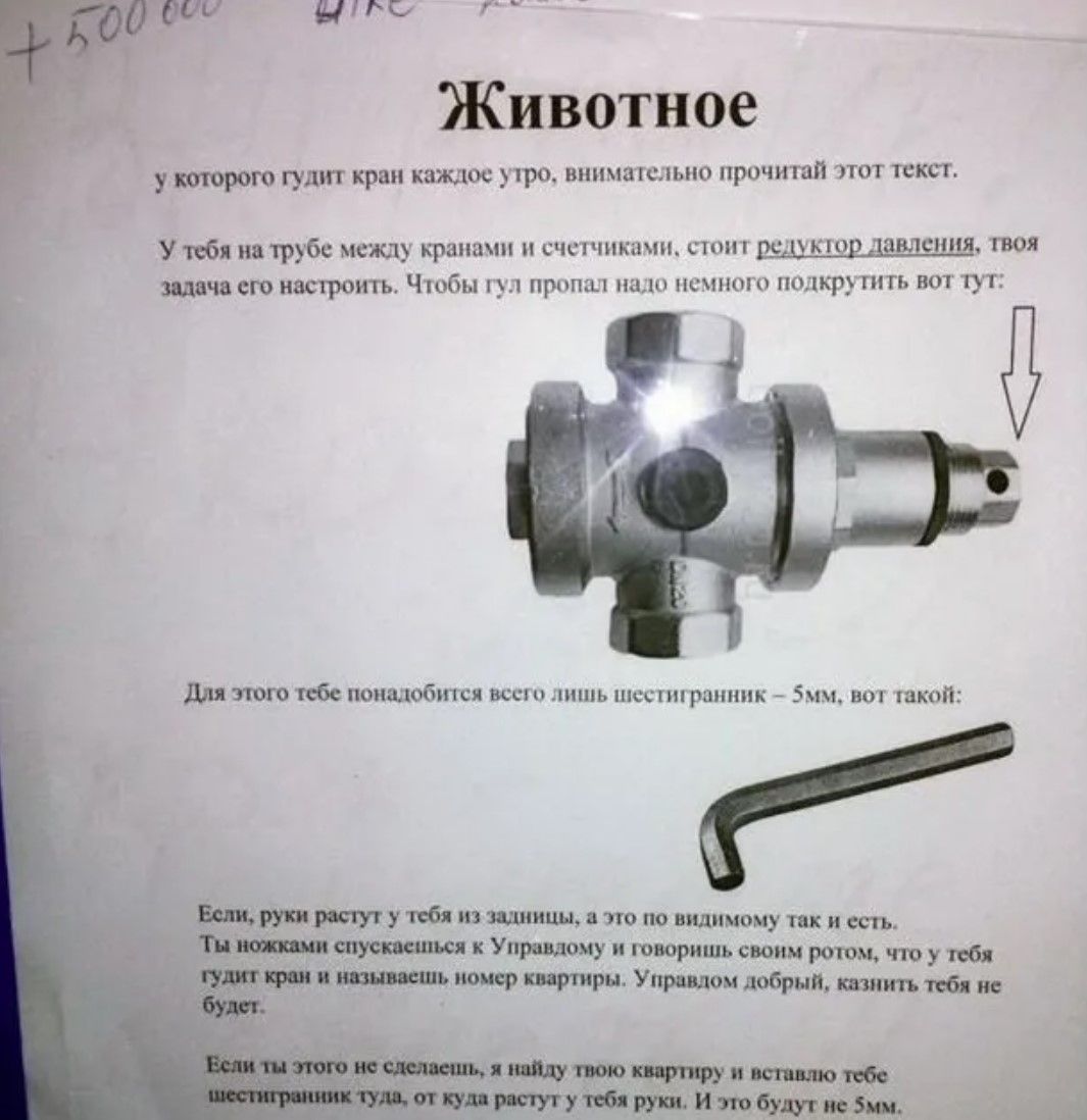 Животное у которого гудит край каждое утро, внимательно прочитай этот текст.

У тебя на трубе между кранами и счётчиками, стоит редуктор давления, твой задалка его настроить. Чтобы гуд пропал надо немного подкрутить вот тут.

Для этого тебе понадобится всего лишь шестигранник – 5мм, вот такой:

Если, руки растут у тебя из нужного, а то выскакивают из места.
Ты никогда не связывался с Управлением и говоришь всем потом, что у тебя все было в порядке. Управление добро, как ты можешь исправить ситуацию тут.

Если ты не сослужишь, я найду твою дыру и использую тебе. Ты это кто?
