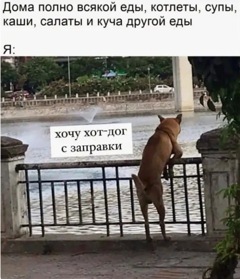 Дома полно всякой еды, котлеты, супы, каши, салаты и куча другой еды
Я:
хочу хот-дог с заправки