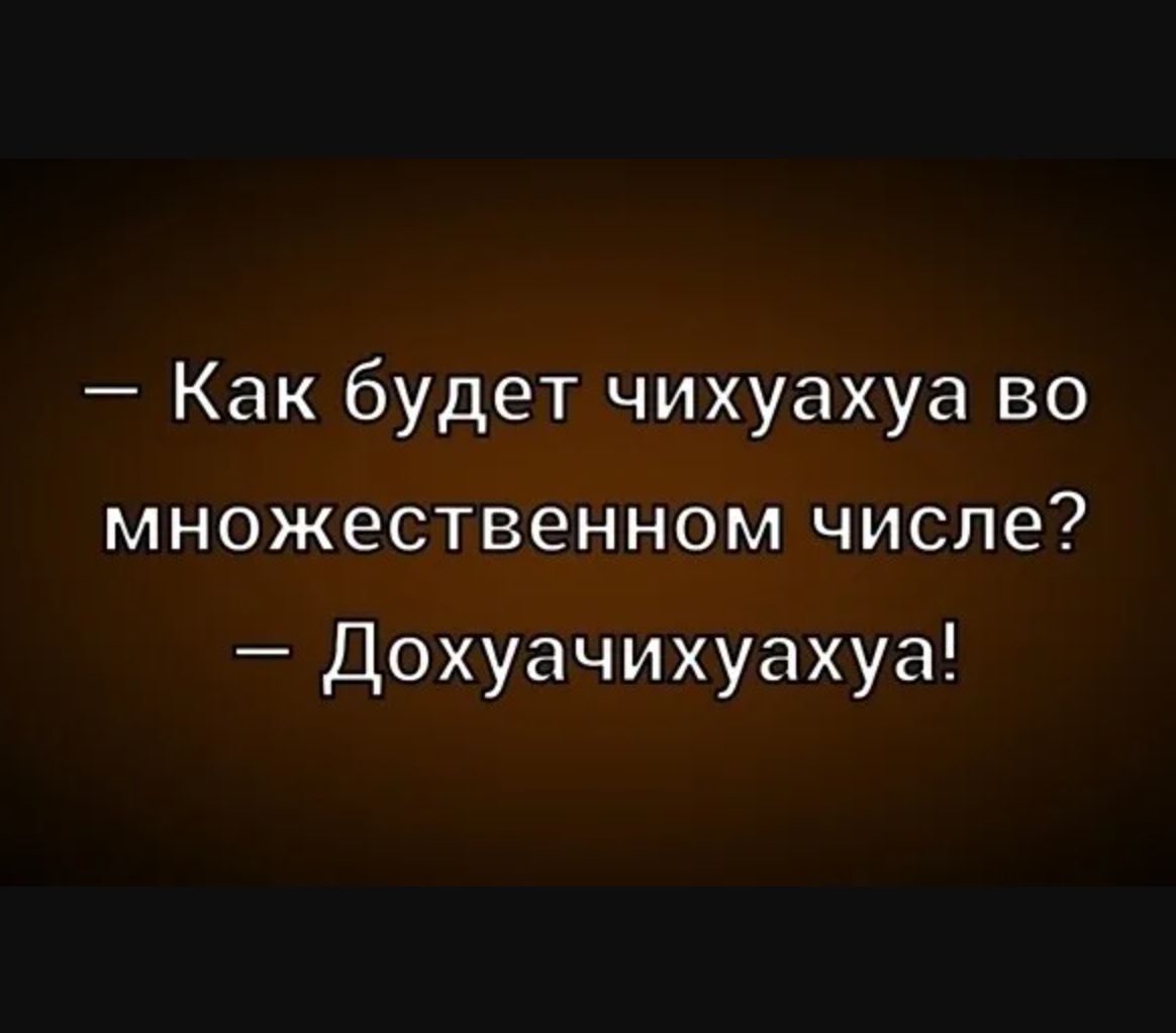 — Как будет чиhuahуа во множественном числе?  — Дохуячиhuahуа!