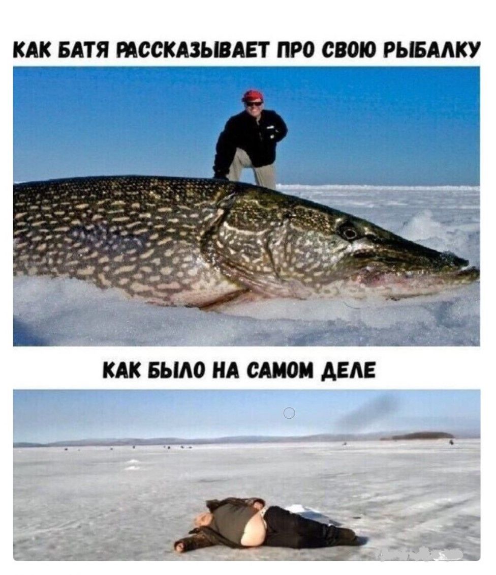 КАК БАТЯ РАССКАЗЫВАЕТ ПРО СВОЮ РЫБАЛКУ
КАК БЫЛО НА САМОМ ДЕЛЕ