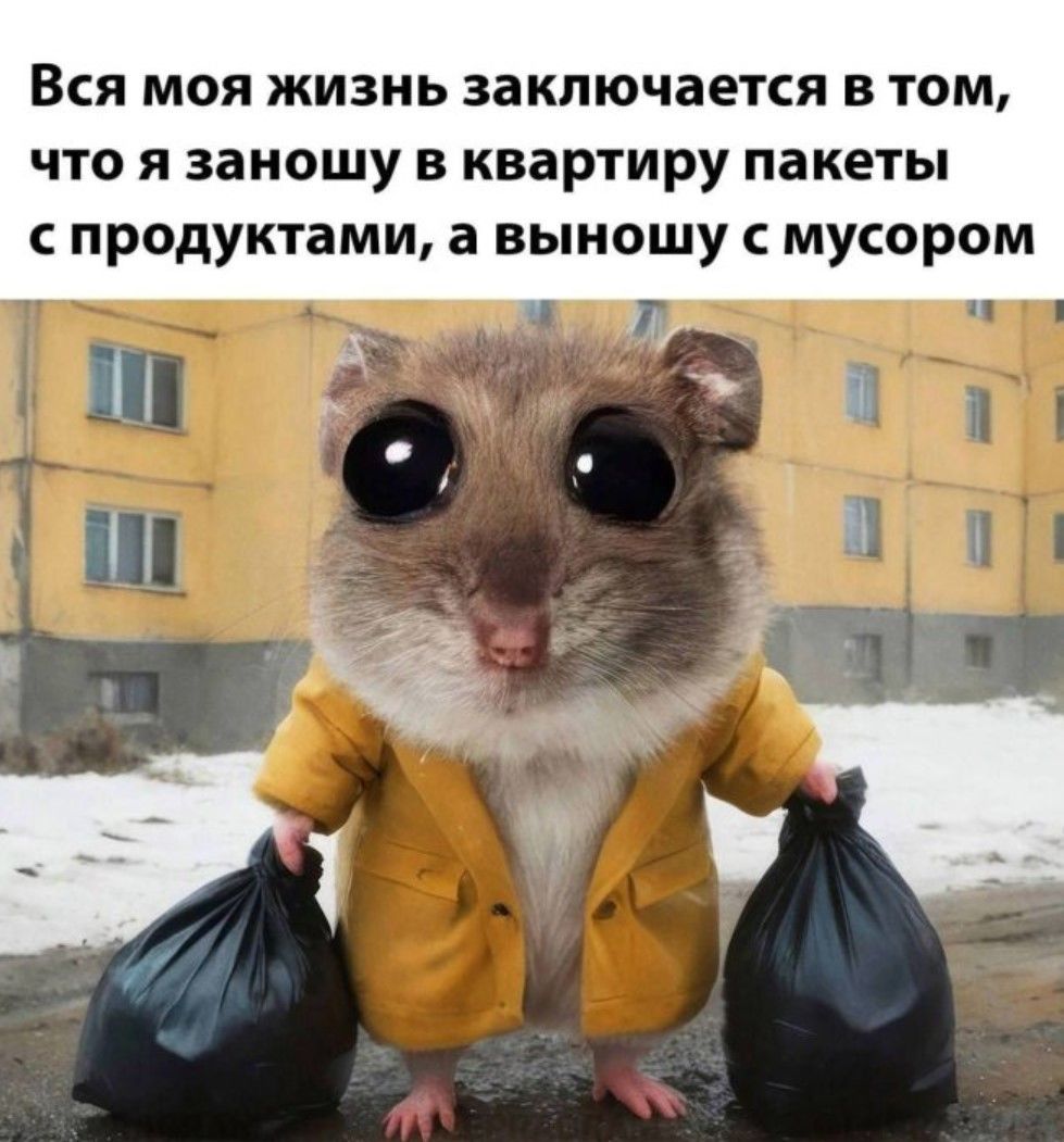 Вся моя жизнь заключается в том, что я заношу в квартиру пакеты с продуктами, а выношу с мусором.
