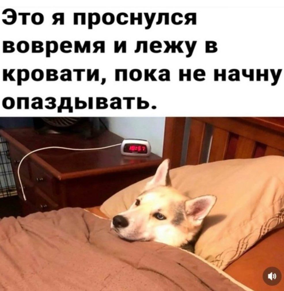 Это я проснулся вовремя и лежу в кровати, пока не начну опаздывать.
