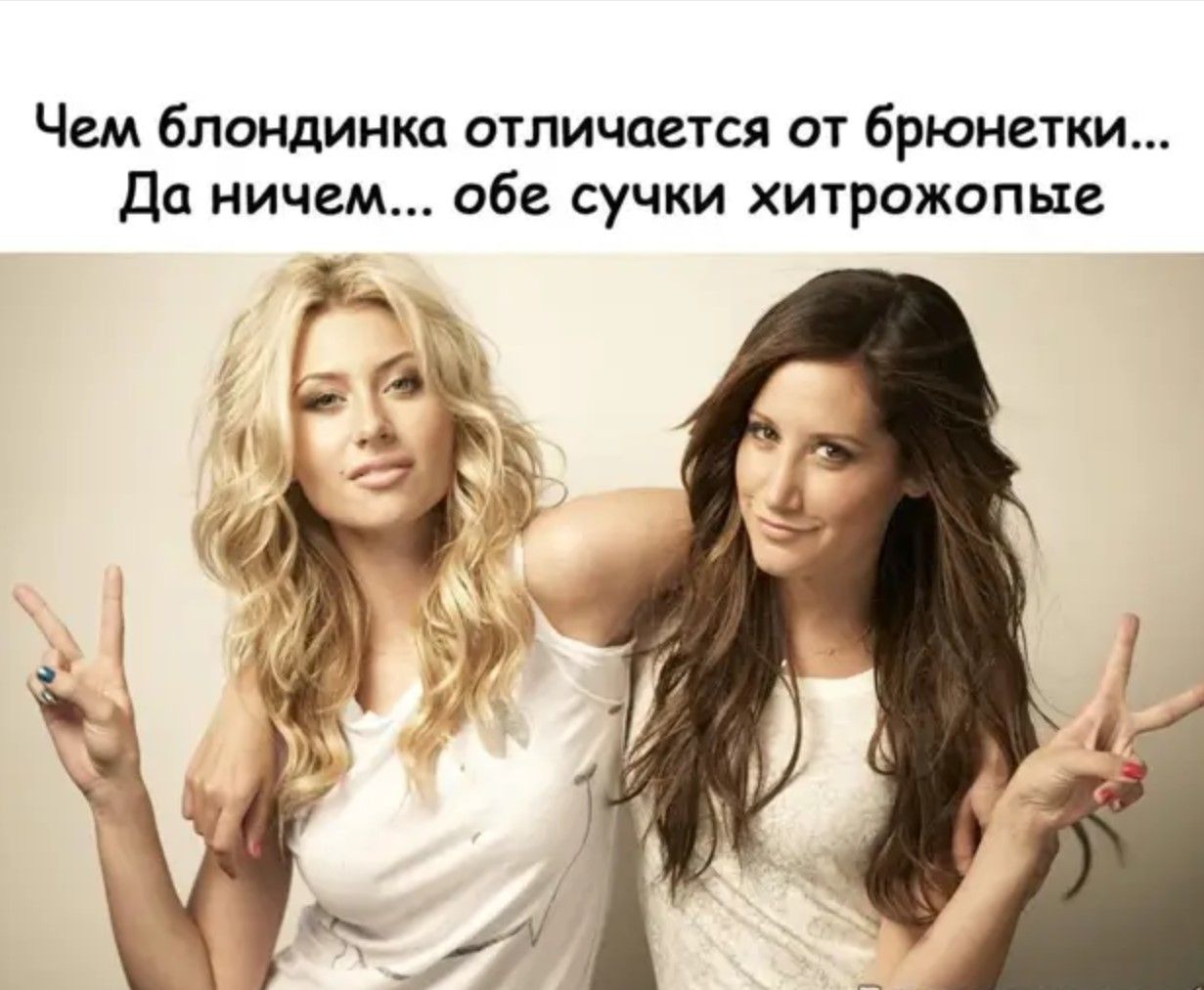 Чем блондинка отличается от брюнетки... Да ничем... обе сучки хитрожопые