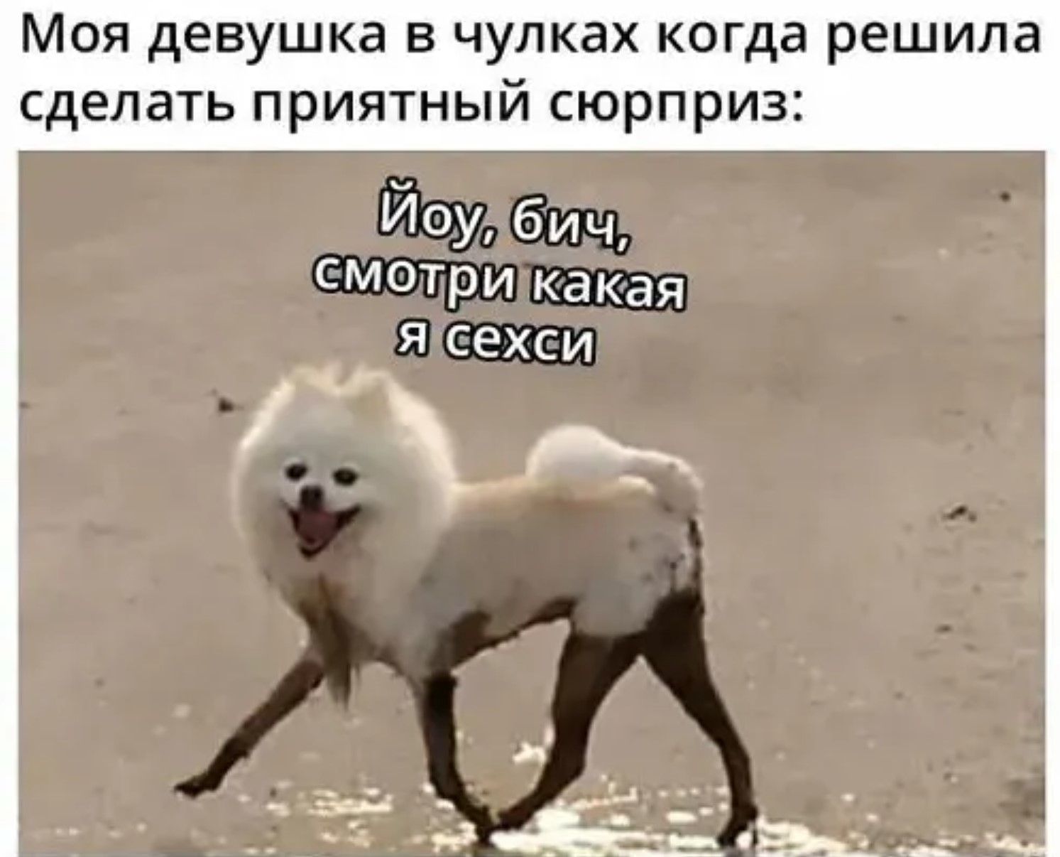 Моя девушка в чулках когда решила сделать приятный сюрприз:
Йоу, бич, смотри какая я секси