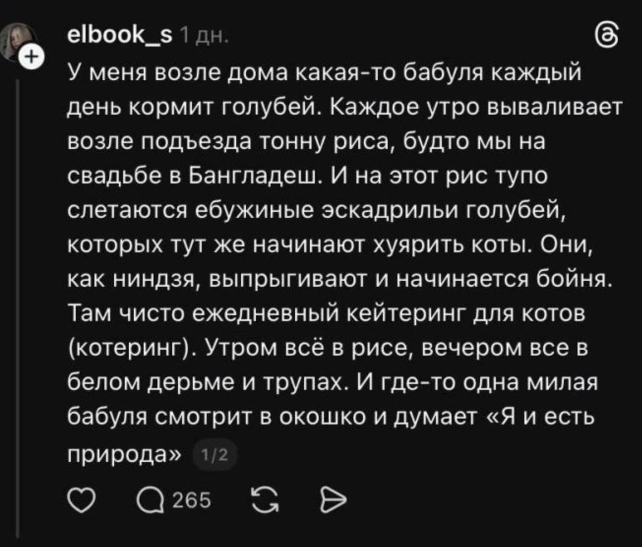 У меня возле дома какая-то бабуля каждый день кормит голубей. Каждое утро вываливает возле подъезда тонну риса, будто мы на свадьбе в Бангладеш. И на этот рис тут же слетаются эскадрильи голубей, которых тут же начинают хуярить коты. Там чисто ежедневный кейтеринг. Утром всё в рисе, вечером всё в белом дерьме и трупах. И одна бабуля смотрит в окошко и думает «Я и есть природа»