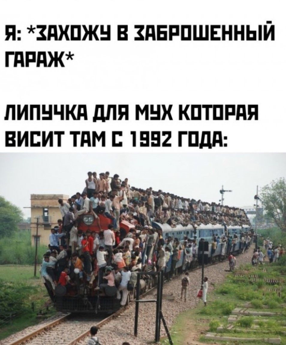 Я: *ЗАХОДЖУ В ЗАБРОШЕННЫЙ ГАРАЖ* ЛИПУЧКА ДЛЯ МУХ КОТОРАЯ ВИСИТ ТАМ С 1992 ГОДА: