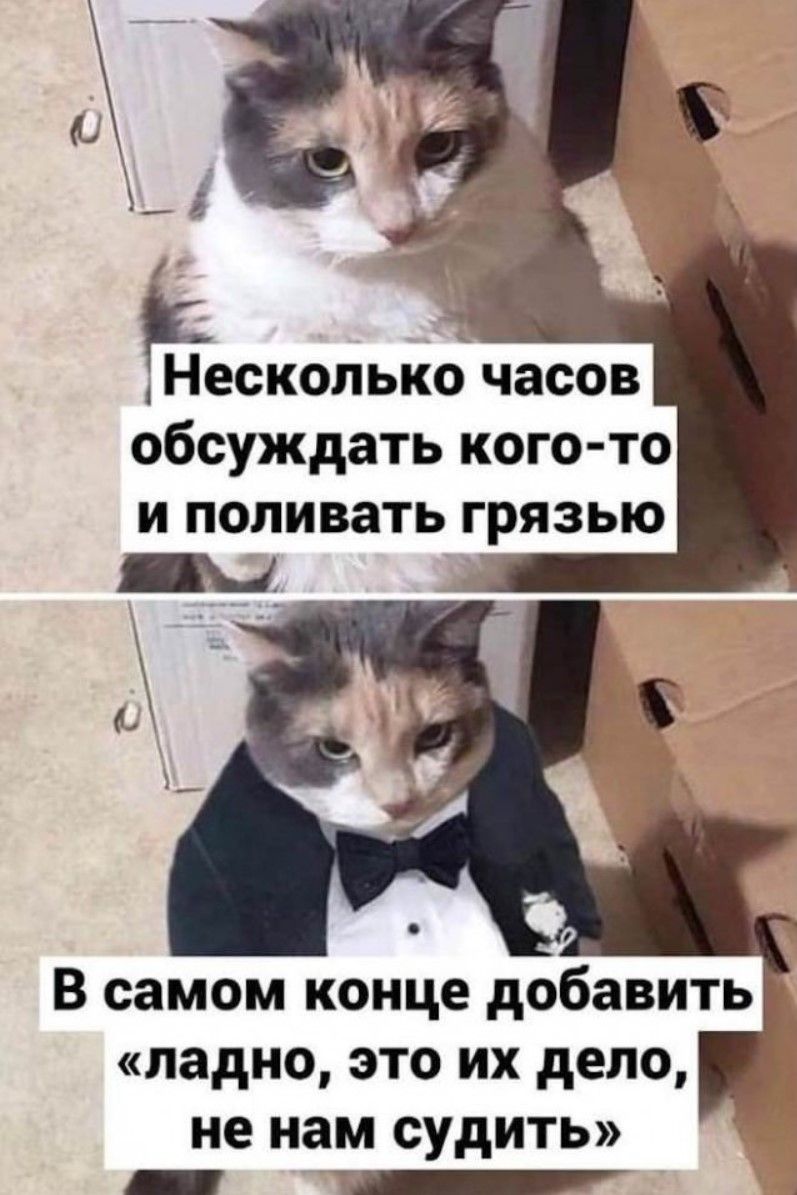 Несколько часов обсуждать кого-то и поливать грязью\nВ самом конце добавить «ладно, это их дело, не нам судить»