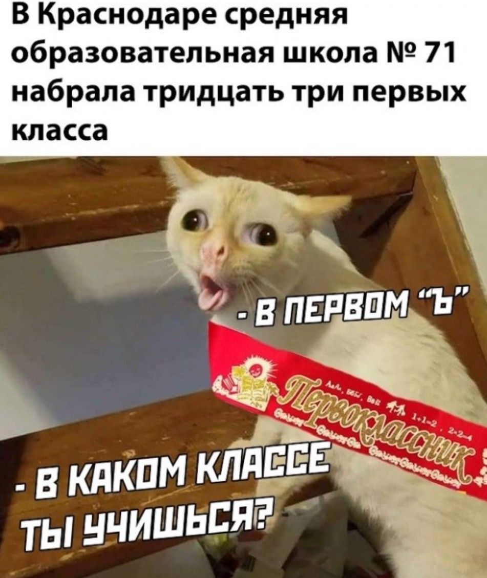 В Краснодаре средняя образовательная школа №71 набрала тридцать три первых класса
- в каком классе ты учишься?
- в первом 'б'
