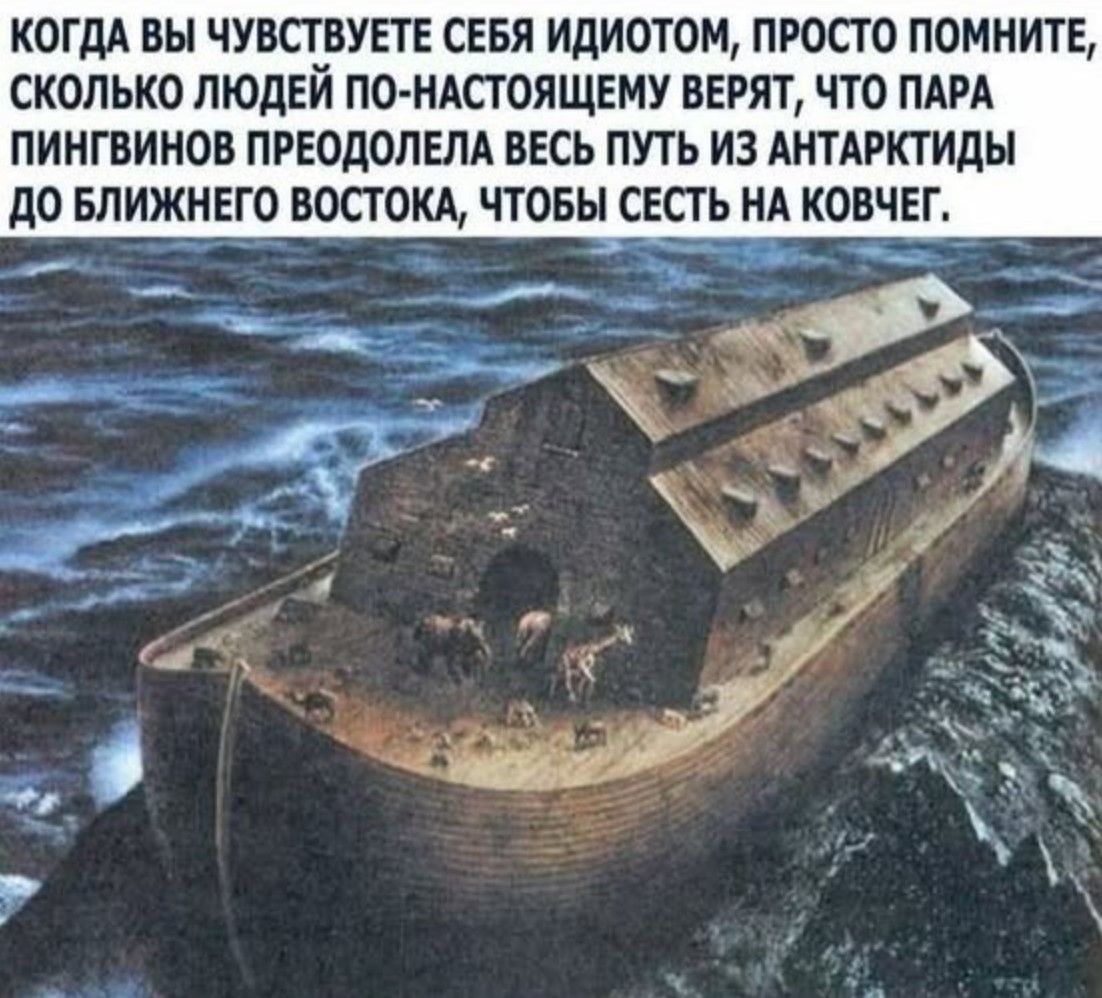 КОГДА ВЫ ЧУВСТВУЕТЕ СЕБЯ ИДИОТОМ, ПРОСТО ПОМНИТЕ, СКОЛЬКО ЛЮДЕЙ ПО-НАСТОЯЩЕМУ ВЕРЯТ, ЧТО ПАРА ПИНГИНОВ ПРОЕОДОЛЕЛА ВСЕЙ ПУТЬ ИЗ АНТАРКТИКИ ДО БЛИЖНЕГО ВОСТОКА, ЧТОБЫ СЕСТЬ НА КОВЧЕГ.
