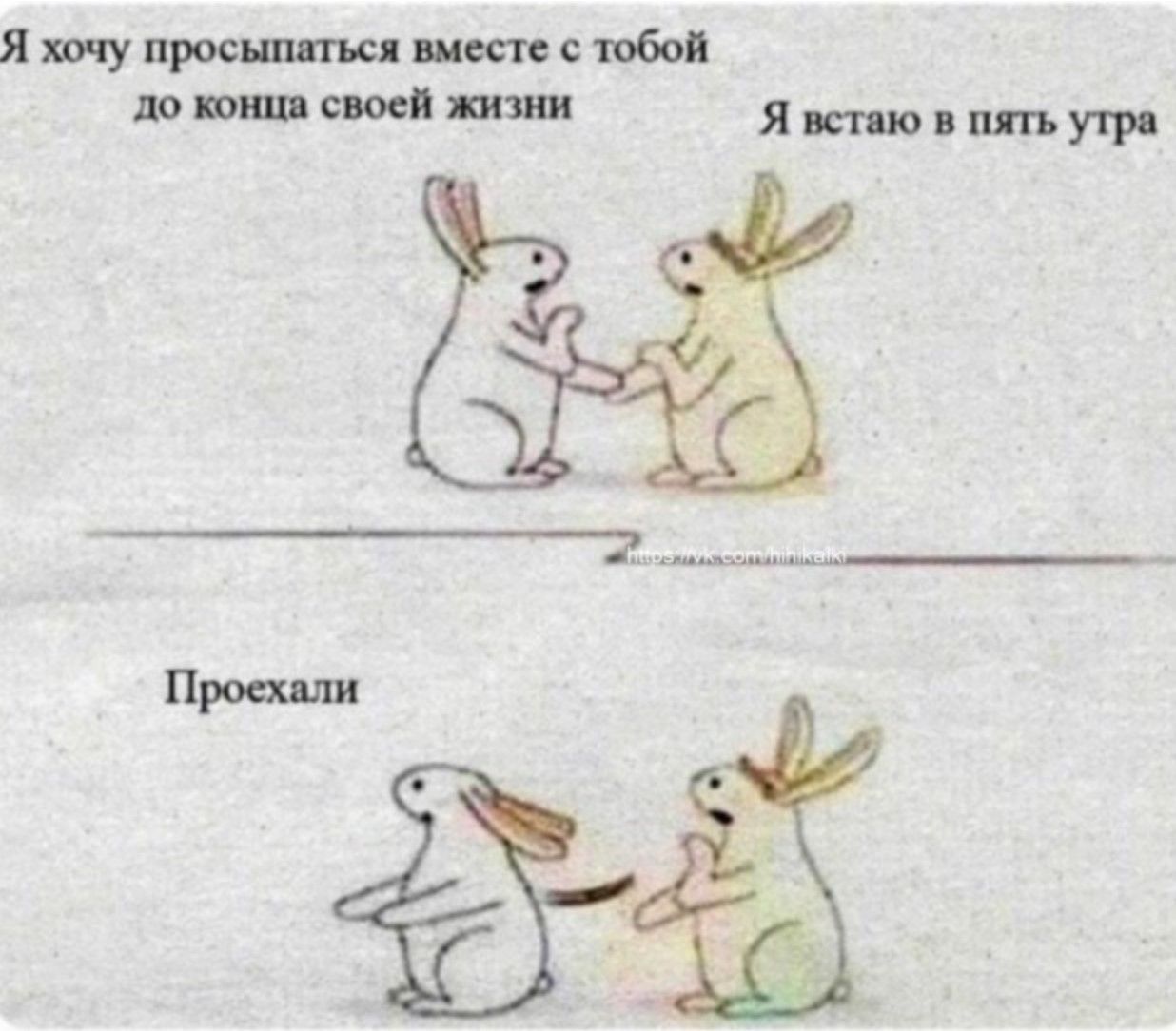 Я хочу просыпаться вместе с тобой до конца своей жизни. Я встаю в пять утра. Проехали