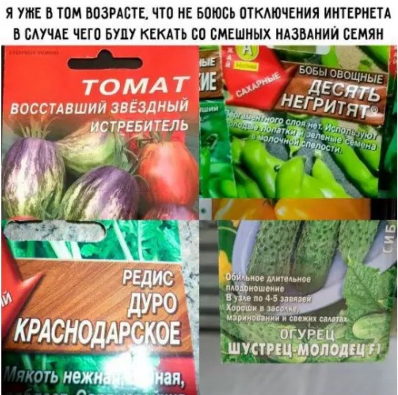 Я УЖЕ В ТОМ ВОЗРАСТЕ, ЧТО НЕ БОЮСЬ ОТКЛЮЧЕНИЯ ИНТЕРНЕТА. В СЛУЧАЕ ЧЕГО БУДУ КЕКАТЬ СО СМЕШНЫХ НАЗВАНИЙ СЕМЯН: ТОМАТ ВОСТАШИЙ ЗВЕЗДНЫЙ ИСТРЕБИТЕЛЬ; ДЕСЯТЬ НЕПРИЯТНЫХ; РЕДИС ДУРО КРАСНОДАРСКОЕ; ОГУРЕЦ ШУСТРЕЦ-МОЛОДЕЦ