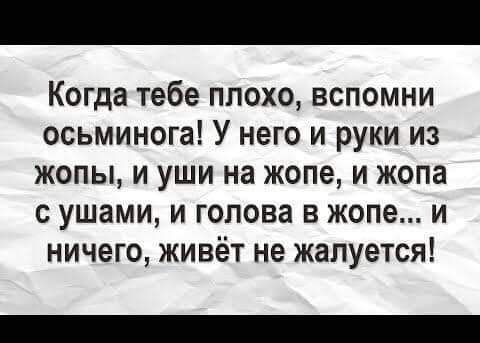 Когда тебе плохо вспомни осьминога У него и руки из жопы и уши на жопе и жопа с ушами и голова в жопе и ничего живёт не жалуется