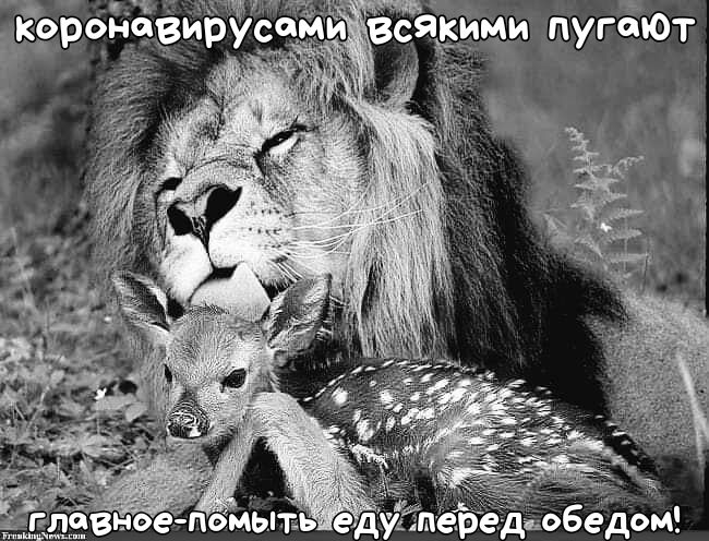 роновиЪЁдсо скими пугёЮт