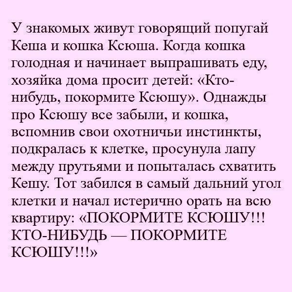 У знакомых живут говорящий попугай Кеша И кошка Ксюша Когда кошка голодная И начинает выпрашивать еду хозяйка Дома просит детей Кто нибудь покормите Ксюшу Однажды про Ксюшу все забыли и кошка вспомнив свои охотничьи инстинкты подкралась к клетке просунула лапу между прутьями и попыталась схватить Кешу Тот забился в самый дальний угол клетки и начал истерично орать на всю квартиру ПОКОРМИТЕ КСЮШУ К