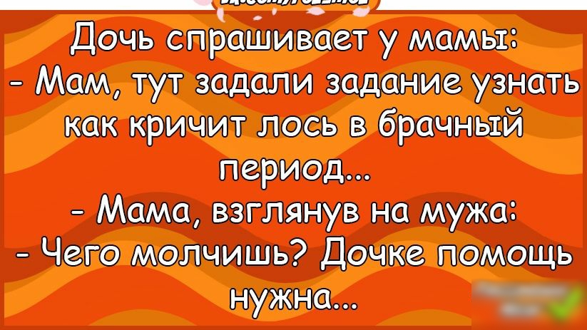 дочь спБаШивает у мамы Мам тут задали задание узнать как кричит лось брачный период Мама взглянув на мужа Чего молчишь дочке помощь пут ю